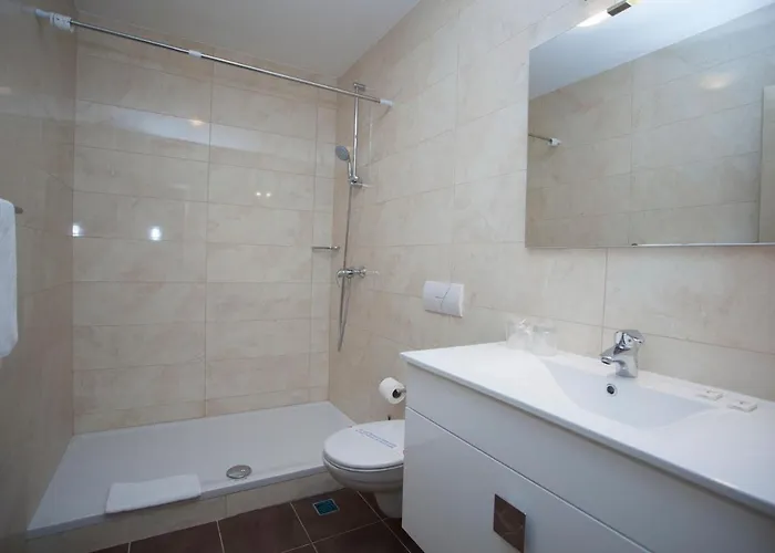 Bota * 德尔韦尼克