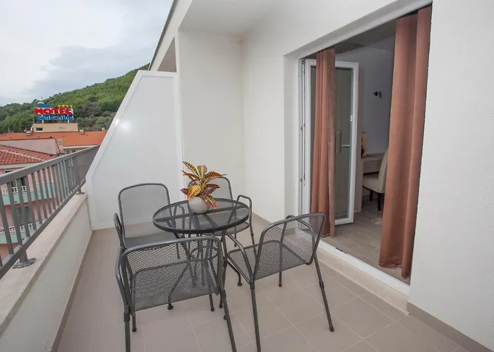 公寓 Bota 德尔韦尼克