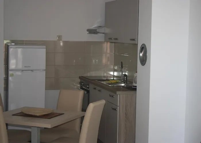 Bota 德尔韦尼克